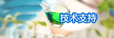 技术服务 