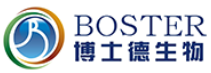 Boster 